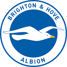 Brighton and Hove Albion FC History