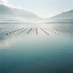 Sinner & Alcaraz open clay-court seasons with wins